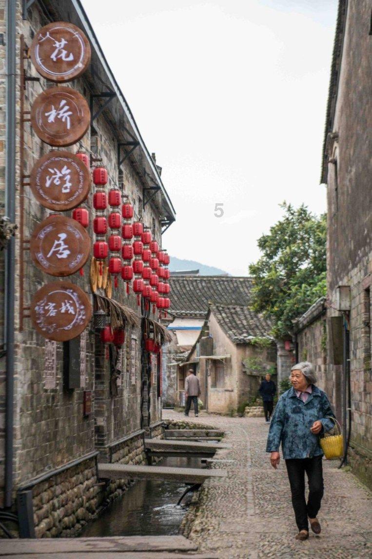 小仓鼠吃瓜子